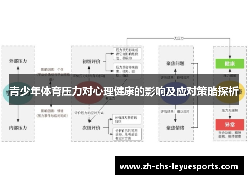 青少年体育压力对心理健康的影响及应对策略探析 青少年体育压力对心理健康的影响及应对策略探析