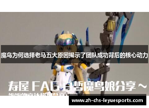 魔鸟为何选择老马五大原因揭示了团队成功背后的核心动力 魔鸟为何选择老马五大原因揭示了团队成功背后的核心动力